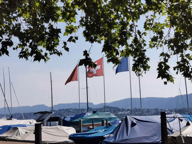 Companies in Switzerland ranking Top 20 market cap