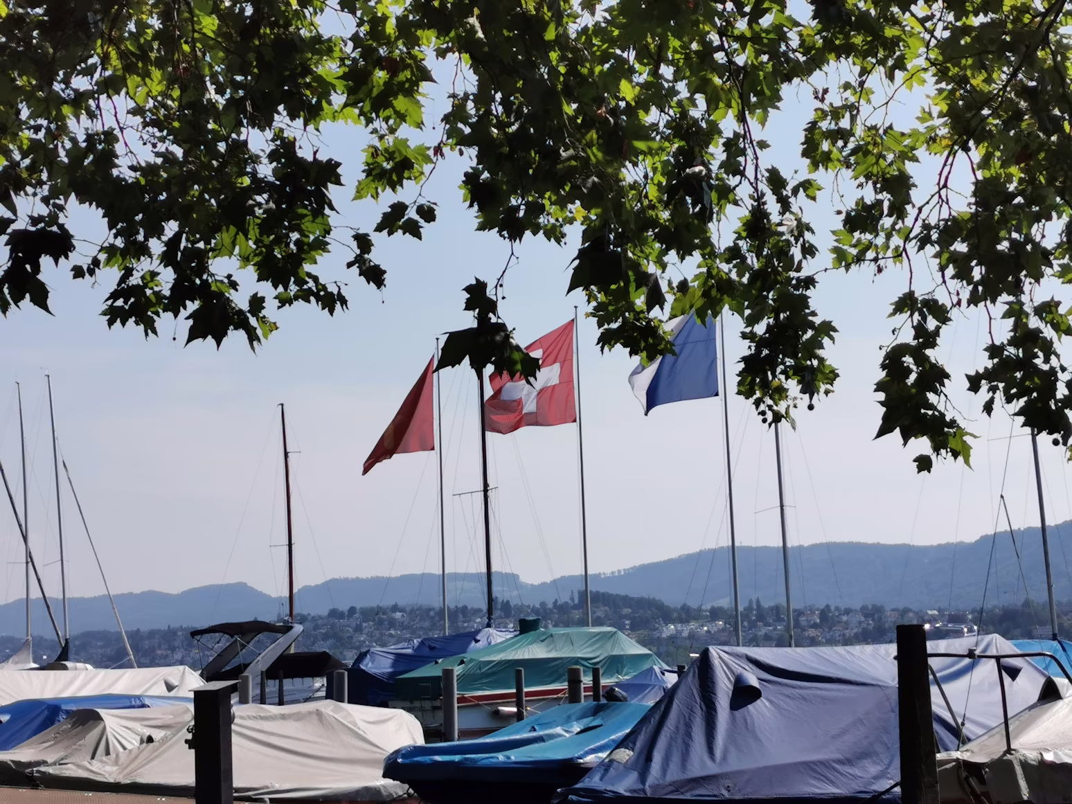 Companies in Switzerland: complete guide to business, economy and major players